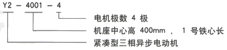 YR系列(H355-1000)高压JR138-8B三相异步电机西安西玛电机型号说明